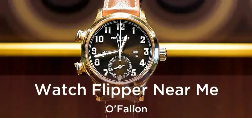 Watch Flipper Near Me O'Fallon